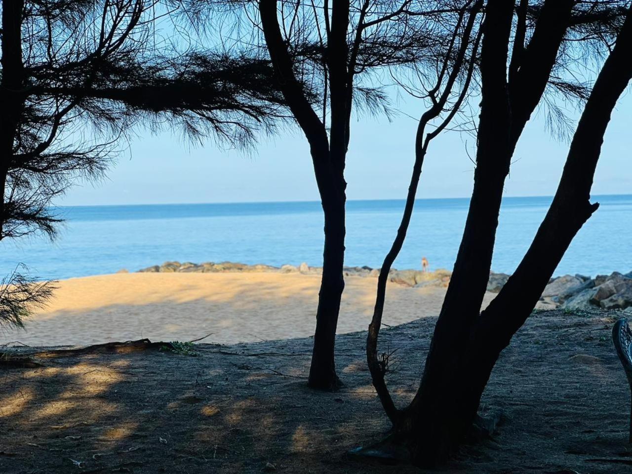 Omeesha Beach Hotel Kalpitiya Exterior photo